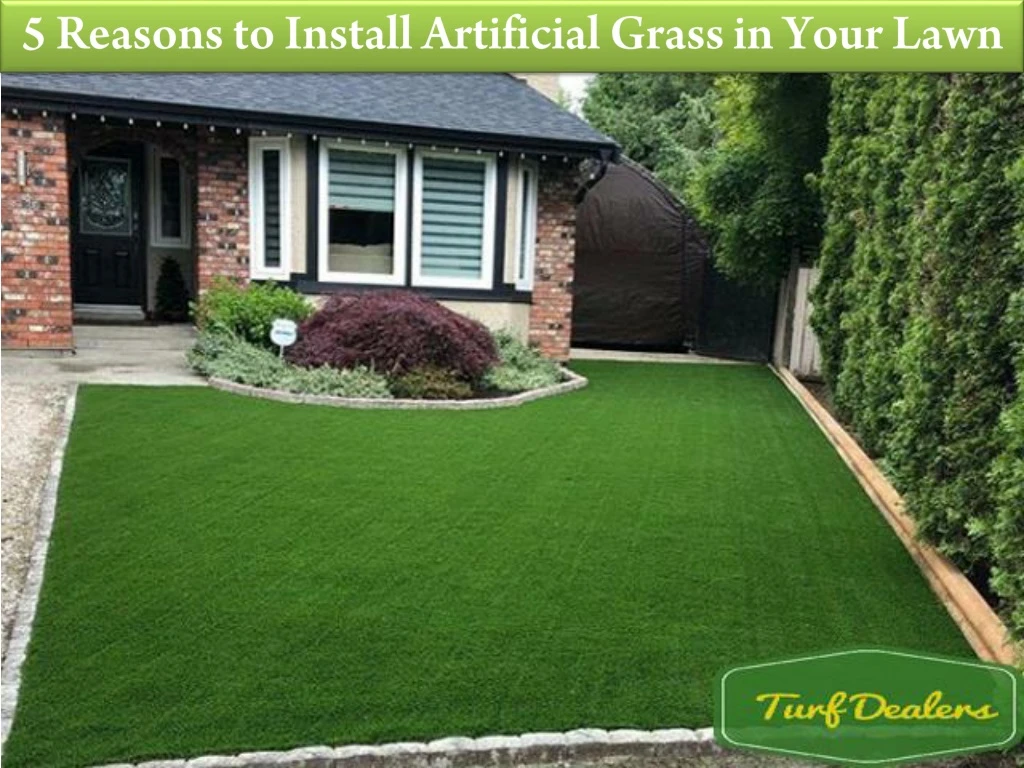 5 reasons to install artificial grass in your lawn