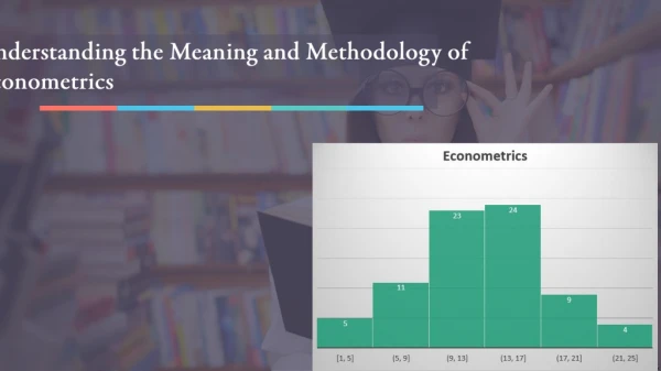 Know About Meaning and Methodology of Econometrics