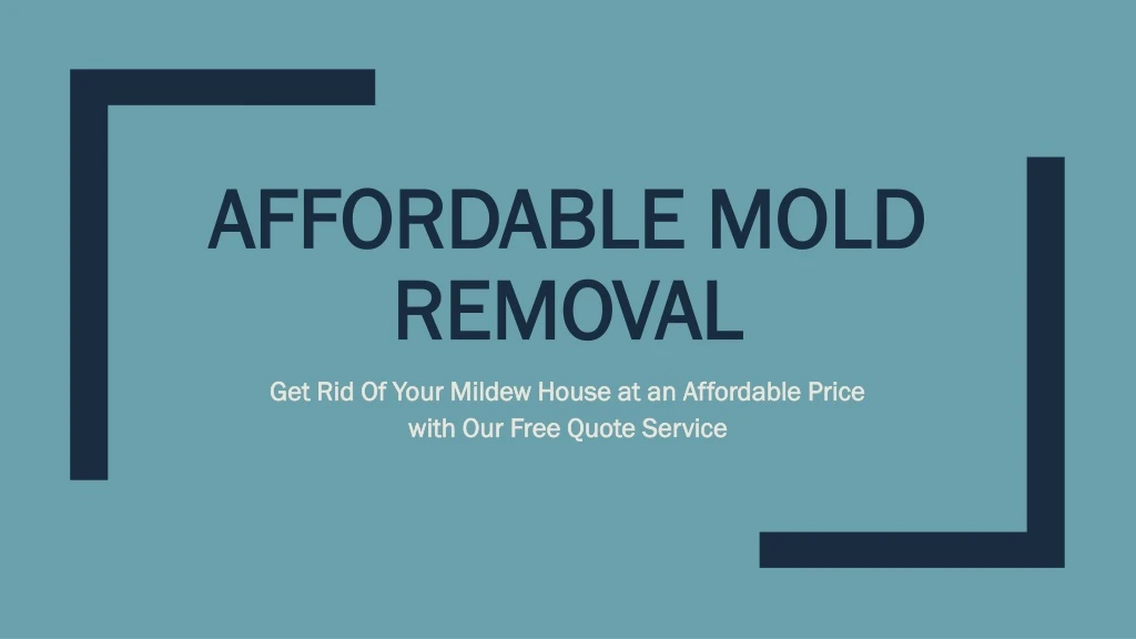 affordable mold removal