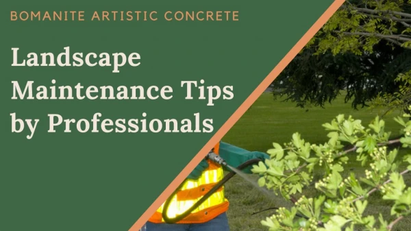 Landscape Maintenance Tips by Professionals