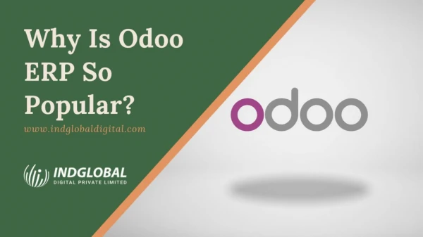 Why Is Odoo ERP So Popular?