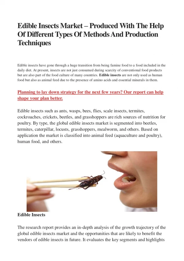 Edible Insects : Reach Source Of Protein