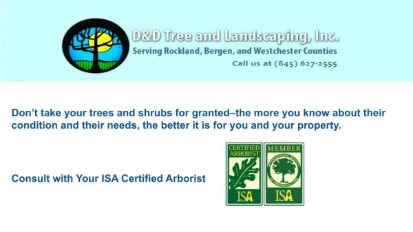Landscape Maintenance Services in Rockland County NY