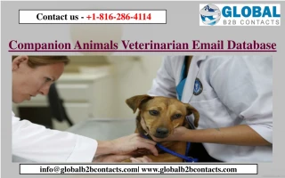 Companion Animals Veterinarian Email Database - slide 1
