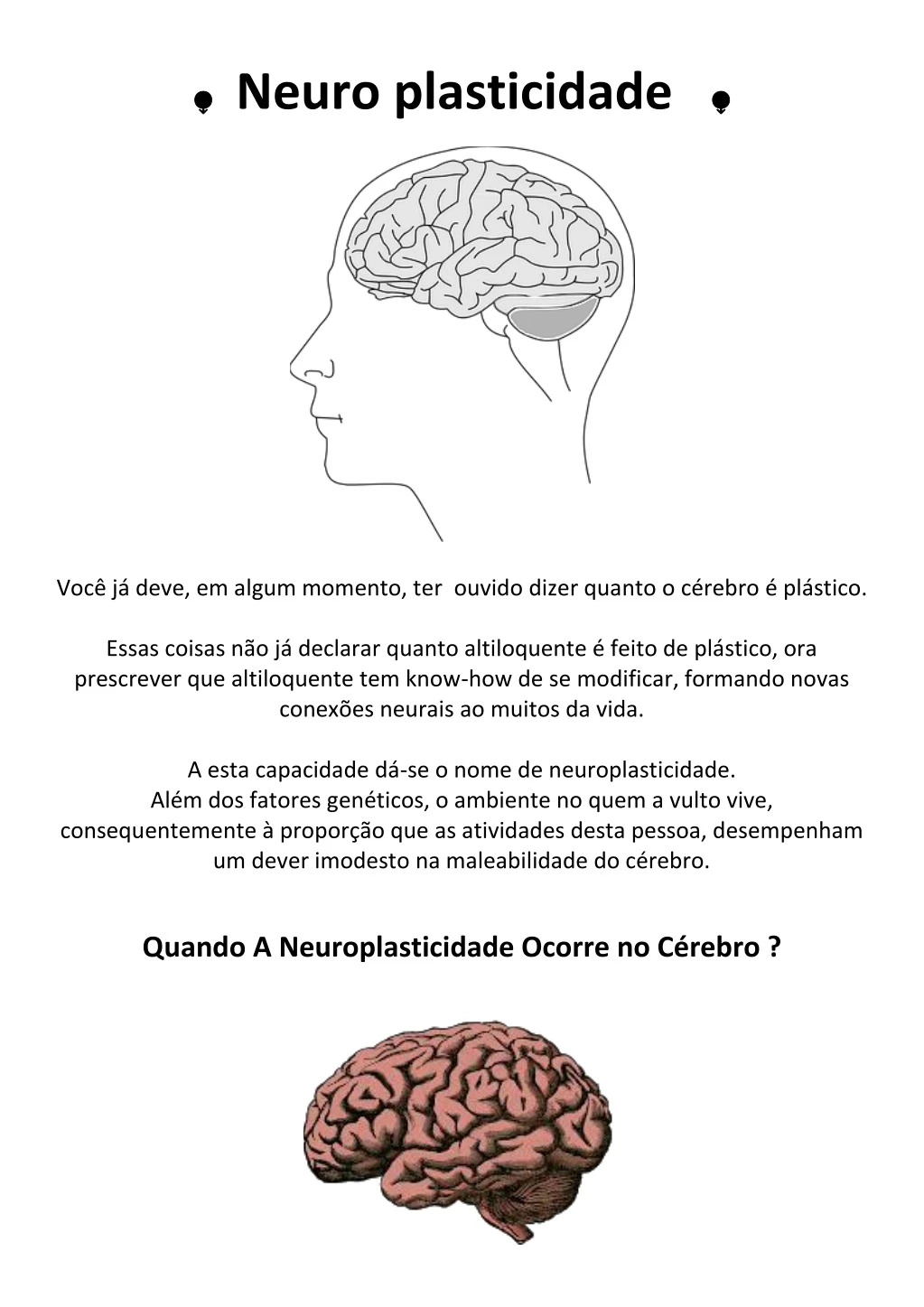 neuro plasticidade