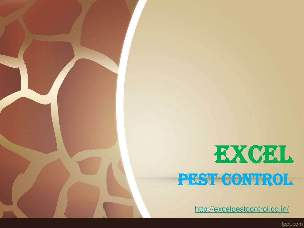 excel pest control