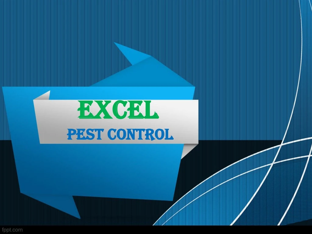 excel pest control