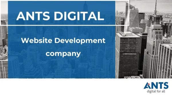 Website Development Company Helps a Business | ANTS Digital