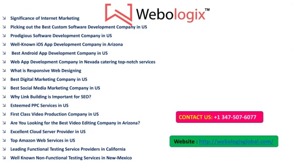 Choose the Best Web App Development Company in Nevada