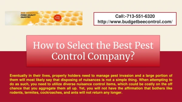 How to Select the Best Pest Control Company?