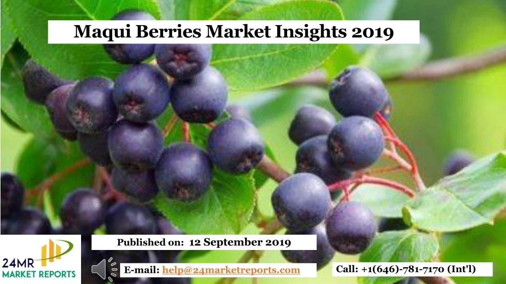 maqui berries market insights 2019