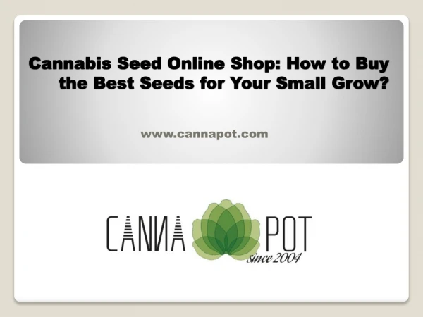 Cannabis Seed Online Shop How to Buy the Best Seeds for Your Small Grow