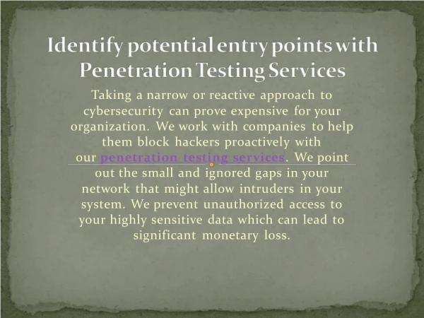 Advance Penetration Testing Services for Security.