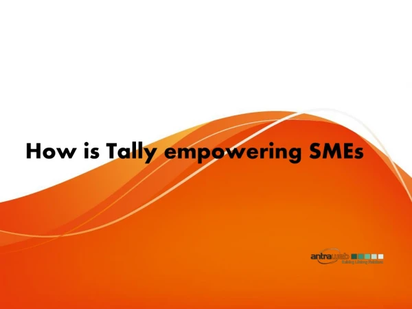 How is Tally empowering SMEs