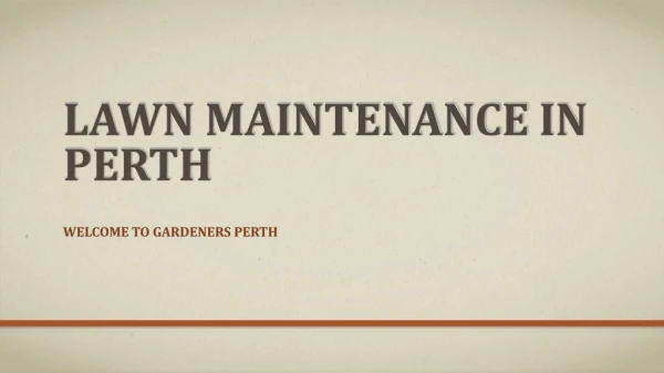 Best Lawn Maintenance Services in Perth