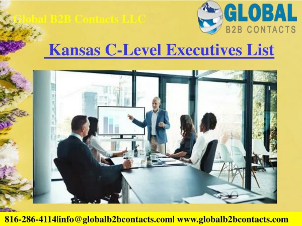 global b2b contacts llc