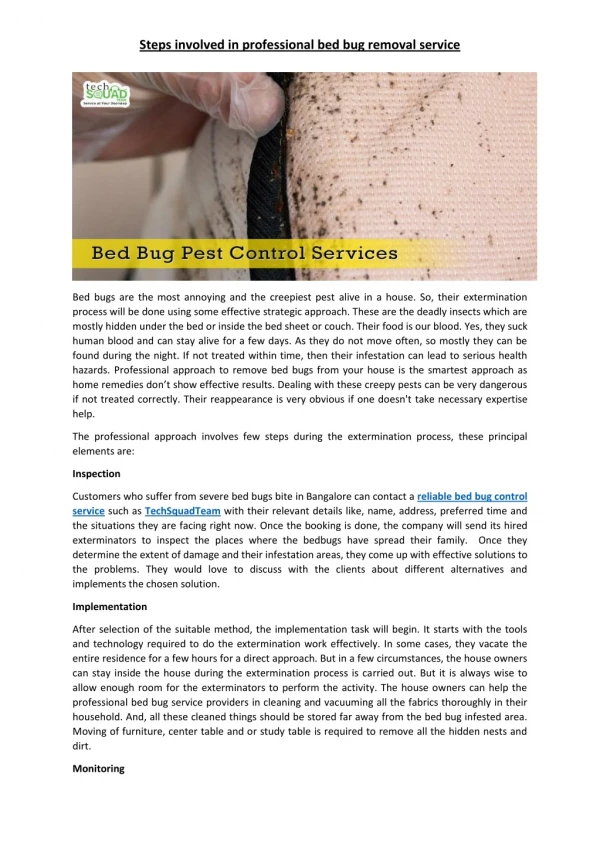 Steps involved in professional bed bug removal service