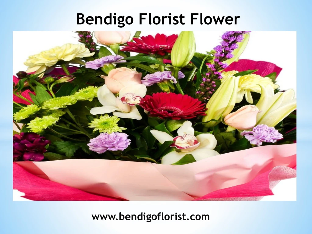 bendigo florist flower
