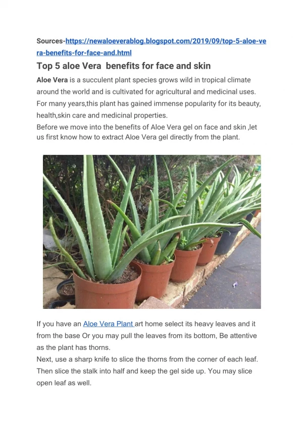 Top 5 Aloe Vera benefits for Face and skin