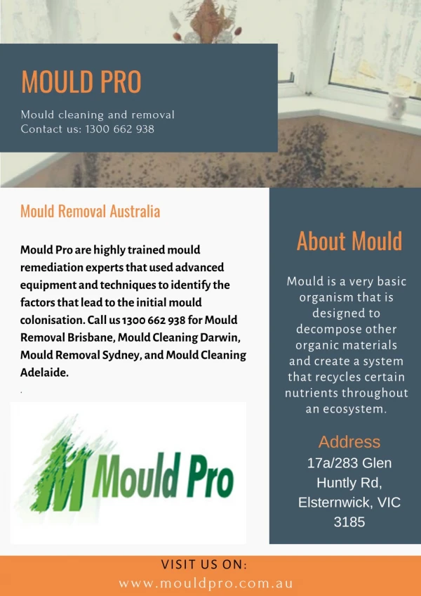 Mould Cleaning Melbourne