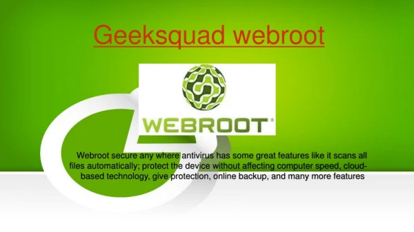 geek squad webroot