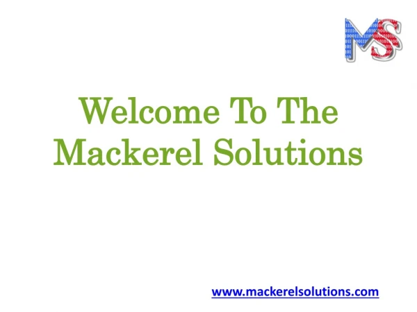 Website Development Company in India - Mackerel Solutions