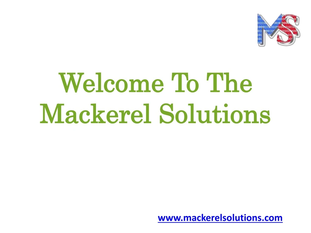 welcome to the welcome to the mackerel solutions