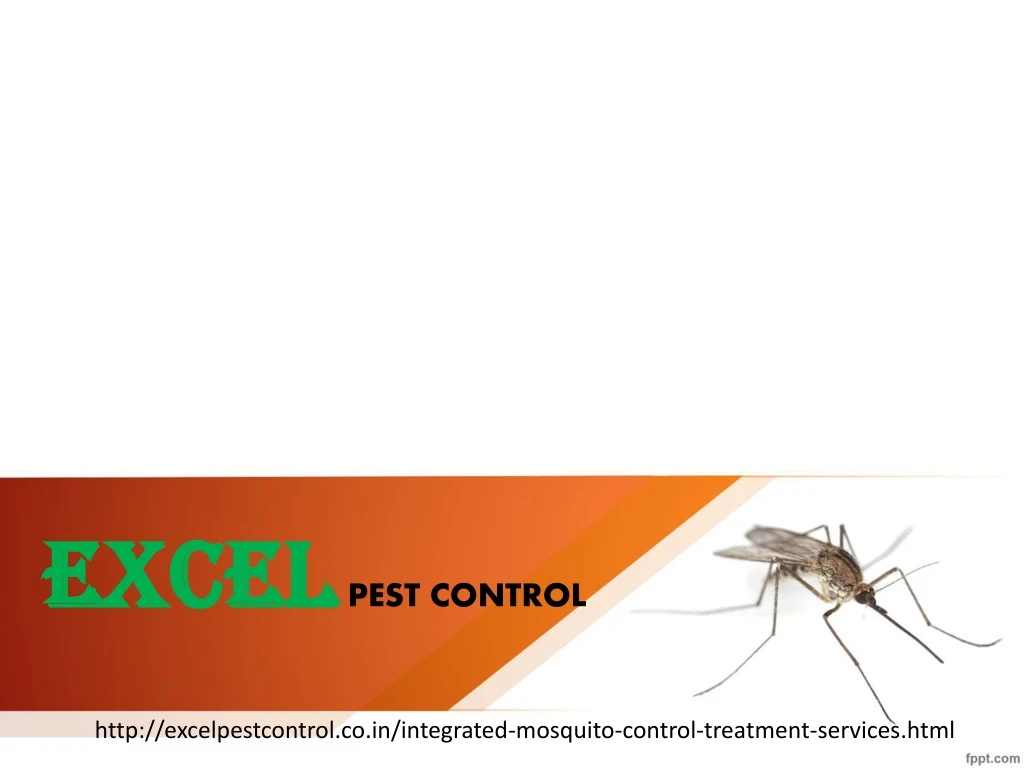 excel pest control