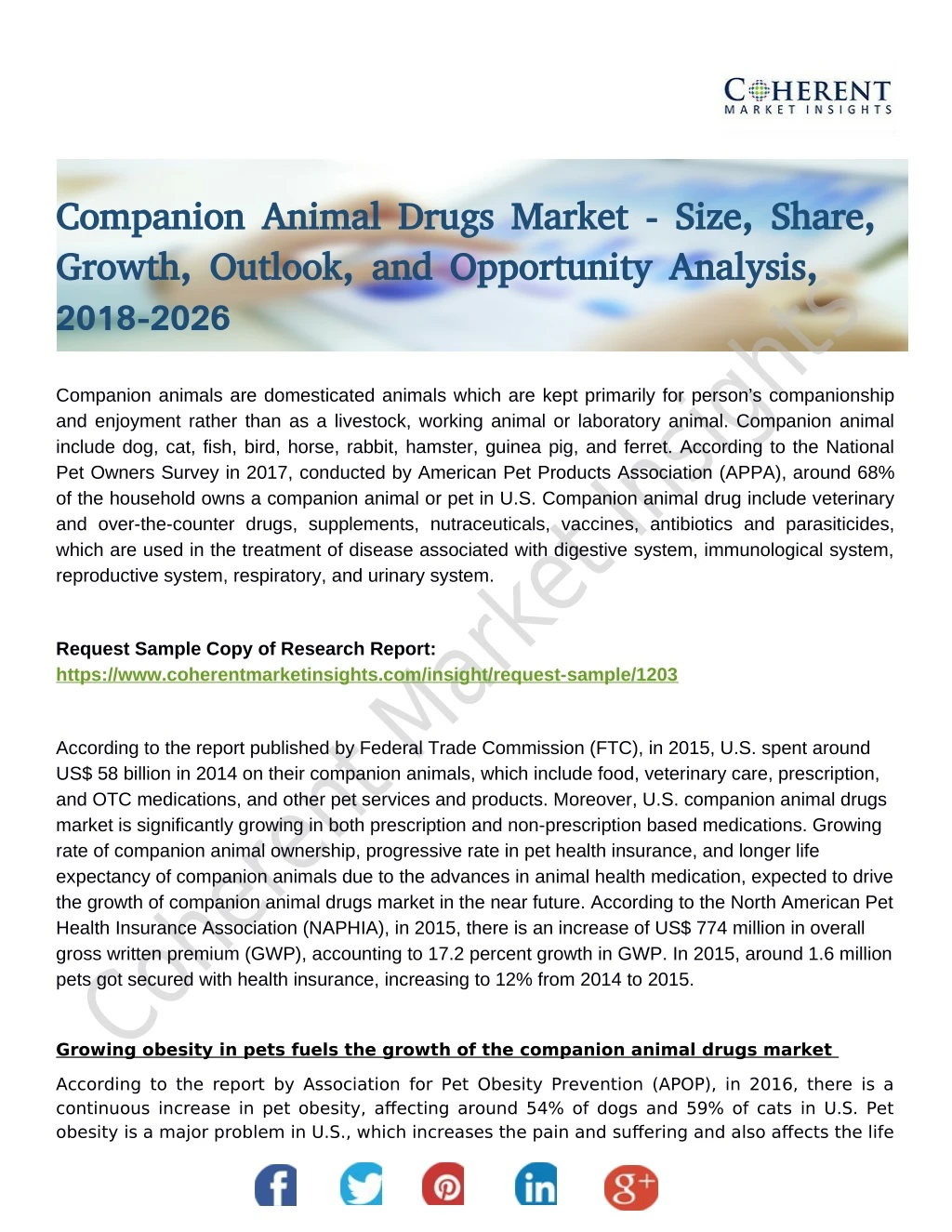companion animal drugs market size share