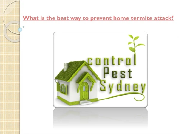 What is the best way to prevent home termite attack?