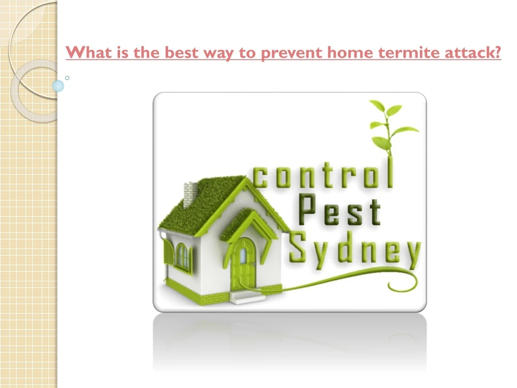 what is the best way to prevent home termite