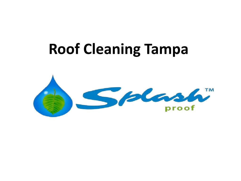 roof cleaning tampa