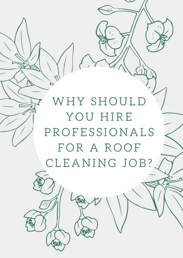Why Should You Hire Professionals For A Roof Cleaning Job?