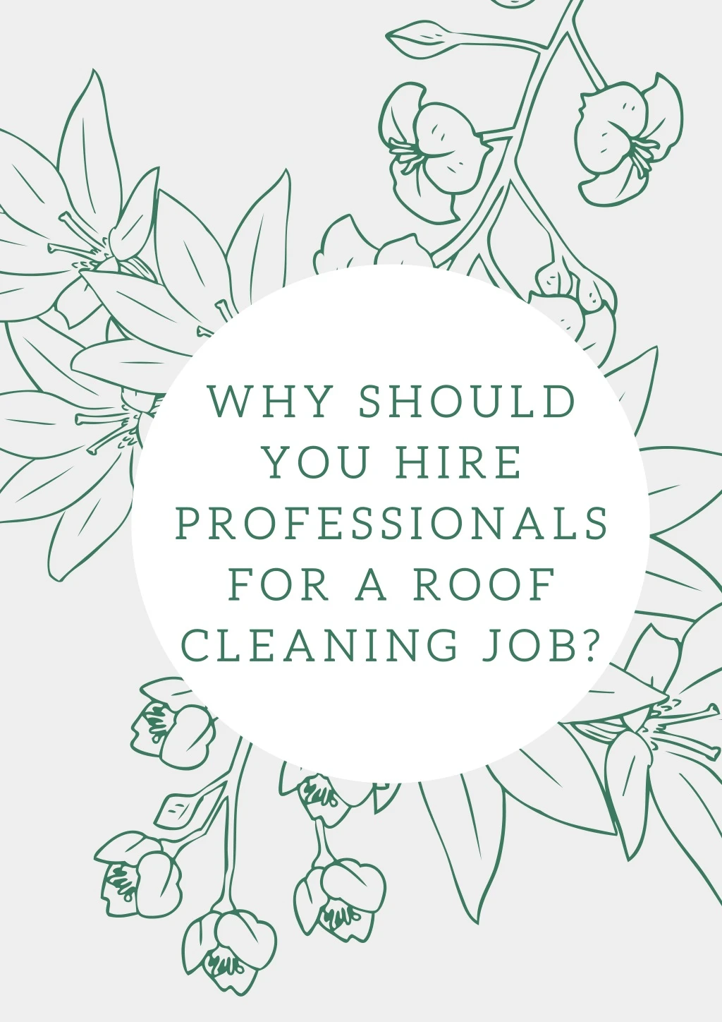 why should you hire professionals for a roof