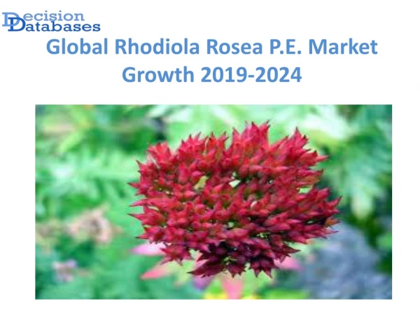 Global Rhodiola Rosea P.E. Market anticipates growth by 2024