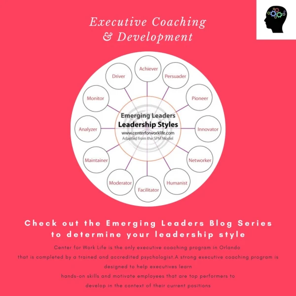 Executive Coaching and Development