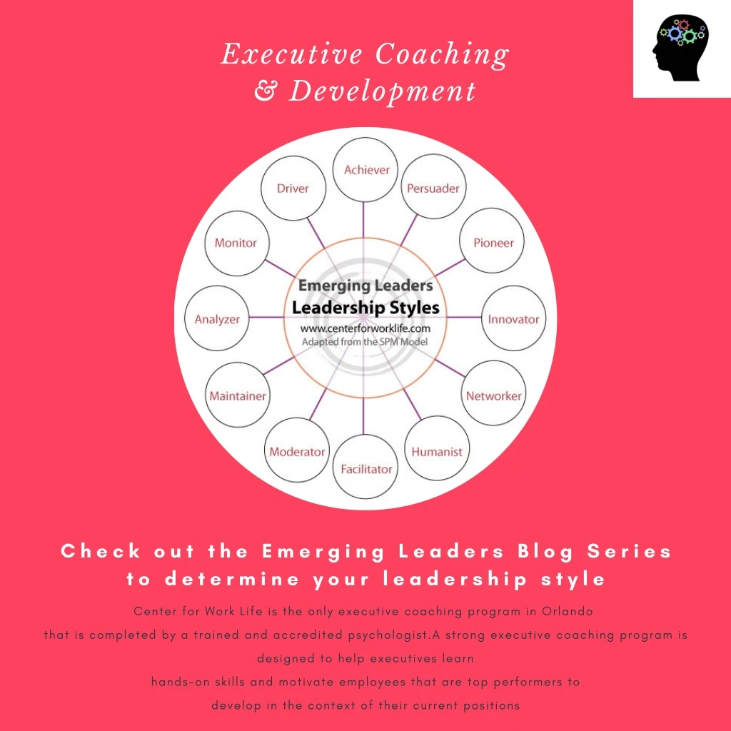 executive coaching development