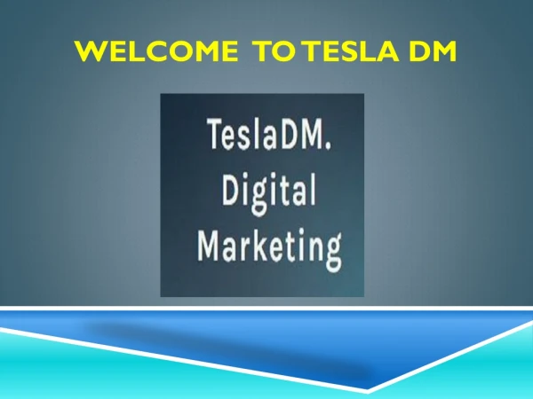 Best Digital Marketing Company | Local SEO Agency | TeslaDM
