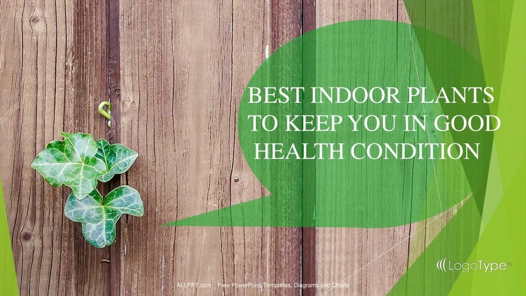 best indoor plants to keep you in good health