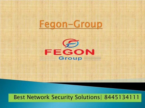 Fegon Group LLC- 8445134111 - Network Security Solutions