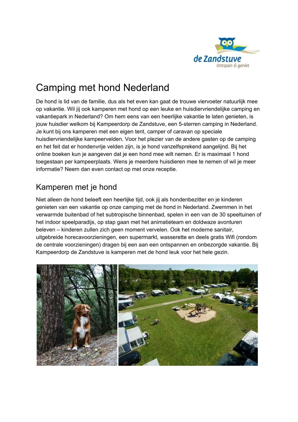 camping met hond nederland