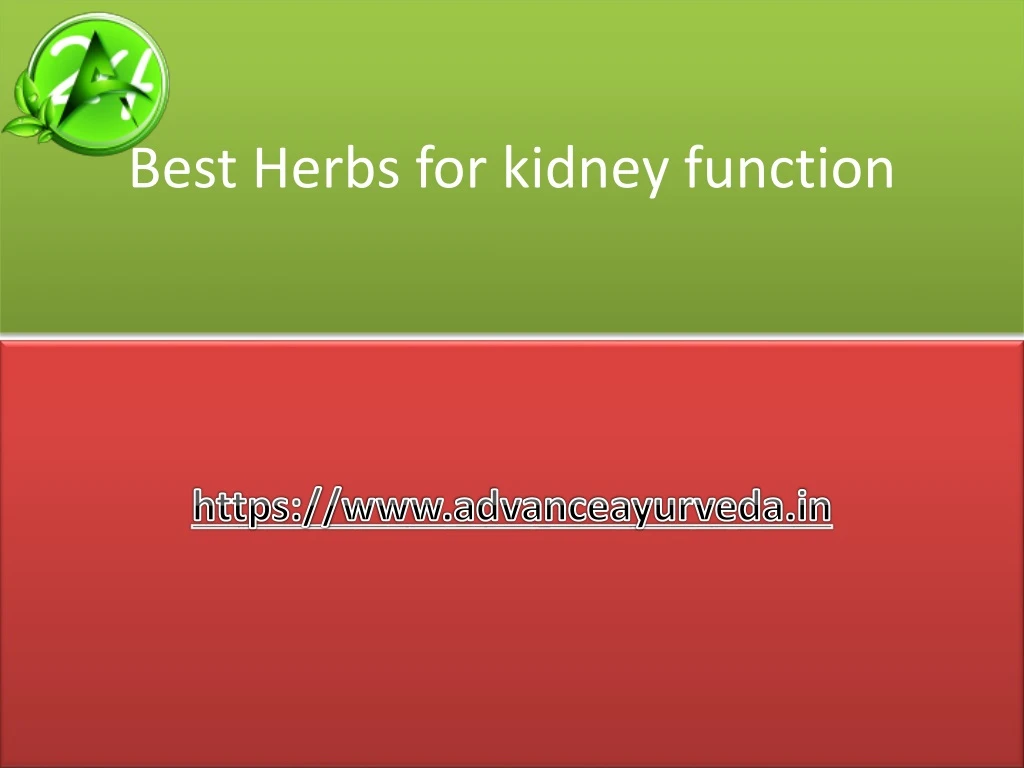 best herbs for kidney function