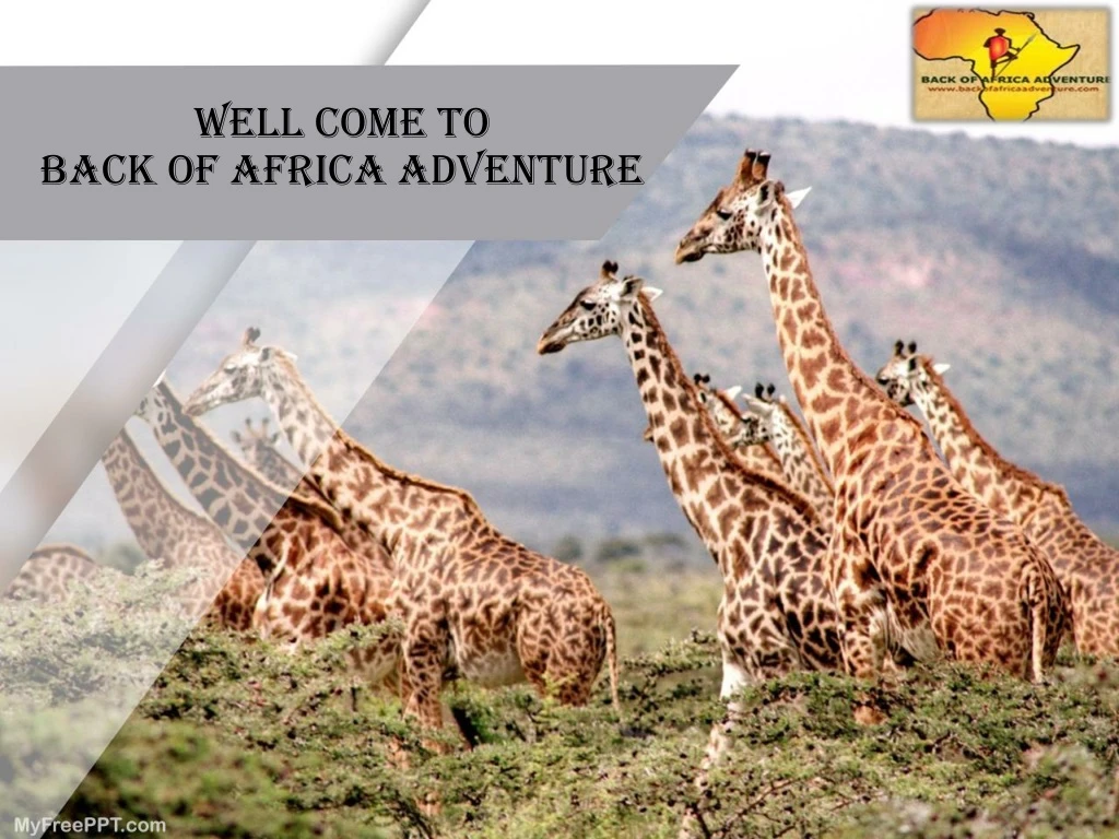 well come to back of africa adventure