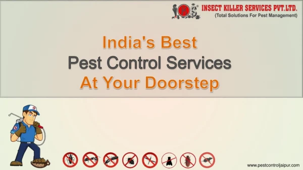 Complete Pest Protection Service Provider In Jaipur - India