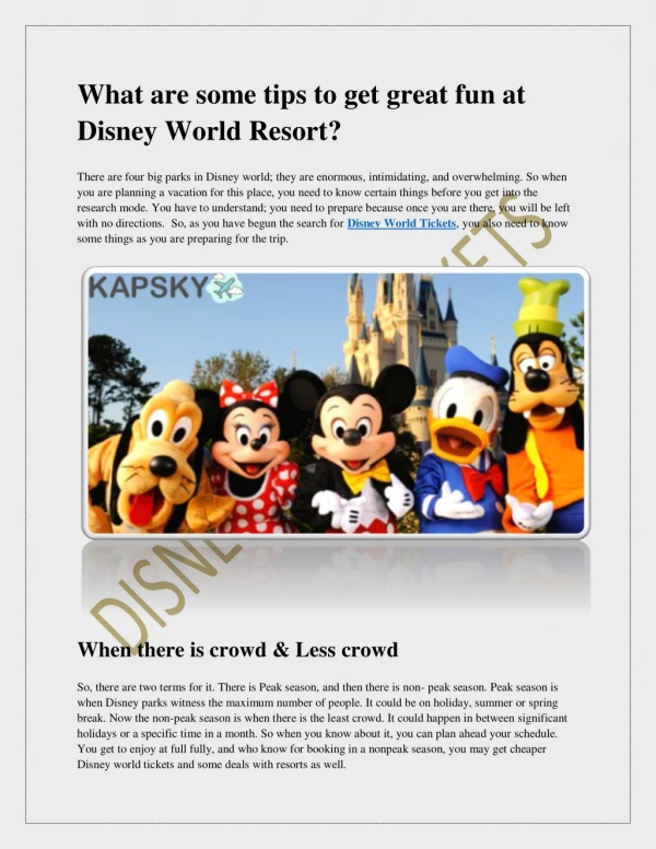 What are some tips to get great fun at Disney World Resort?