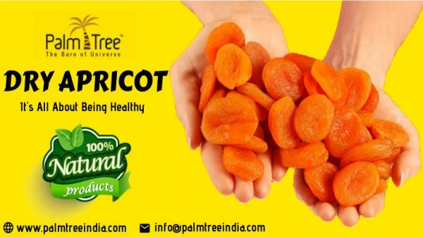 Soft & Juicy Dry Apricot for sale