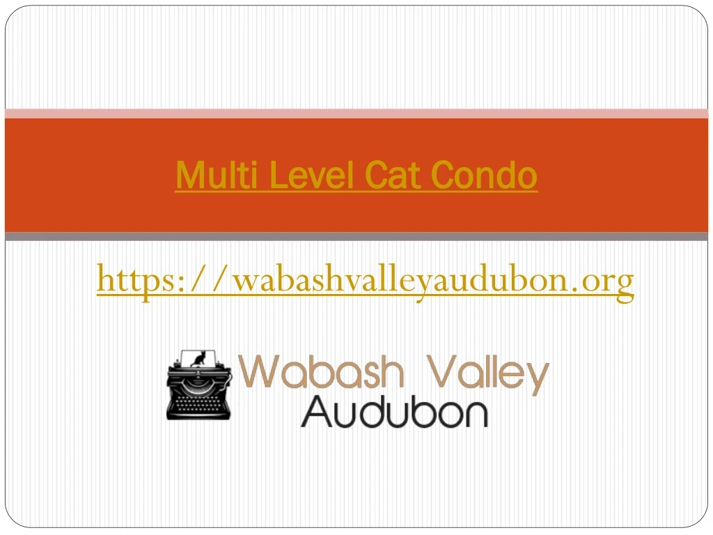 multi level cat condo