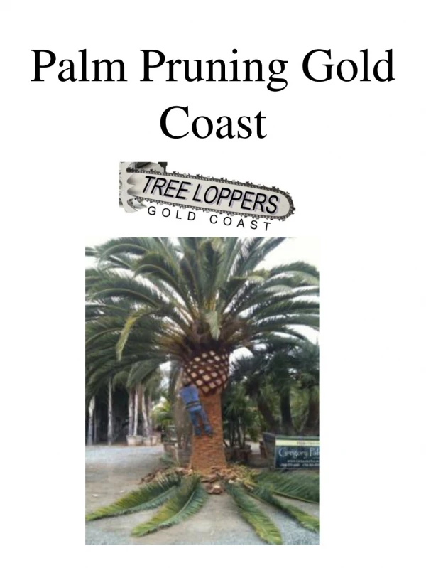 Palm Pruning Gold Coast