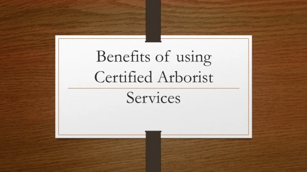 Benefits of Using Certified Aborist Services