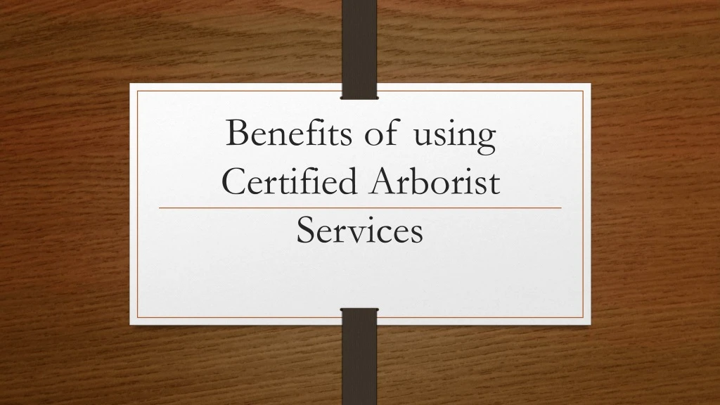 benefits of using certified arborist services